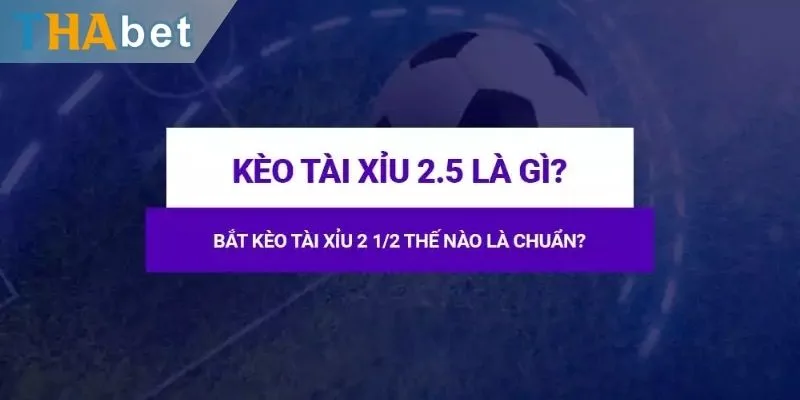 Kèo tài xỉu 2.5 giới thiệu chi tiết